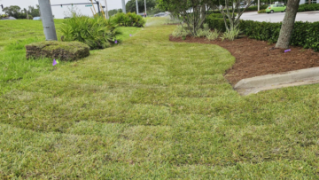 Lawn replacement services with sod turf mulch and low maintenance landscaping