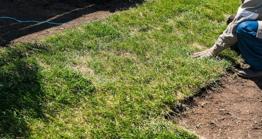 Sod replacement Orlando Sod Installation