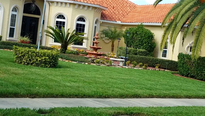 Lawn Care Services Orlando