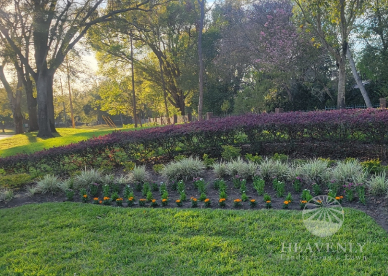 HOA Landscape Installation