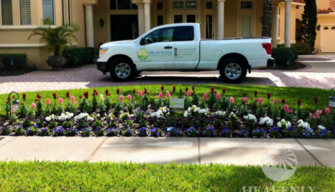 Luxury landscape design Orlando