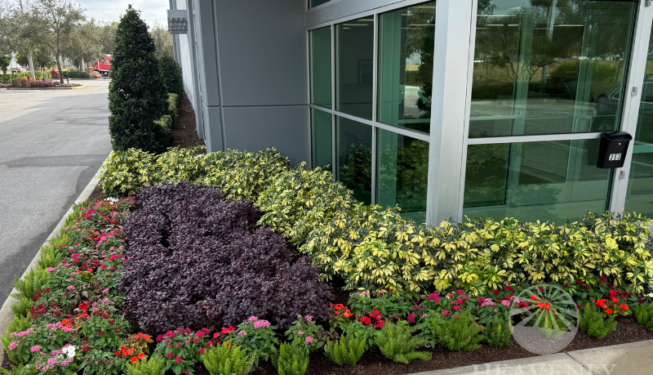 Full service landscape installation