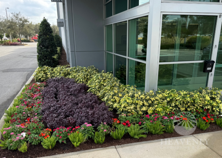 Full service landscape installation
