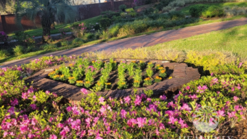 HOA landscaping services Central Florida