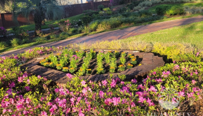 HOA landscape Orlando