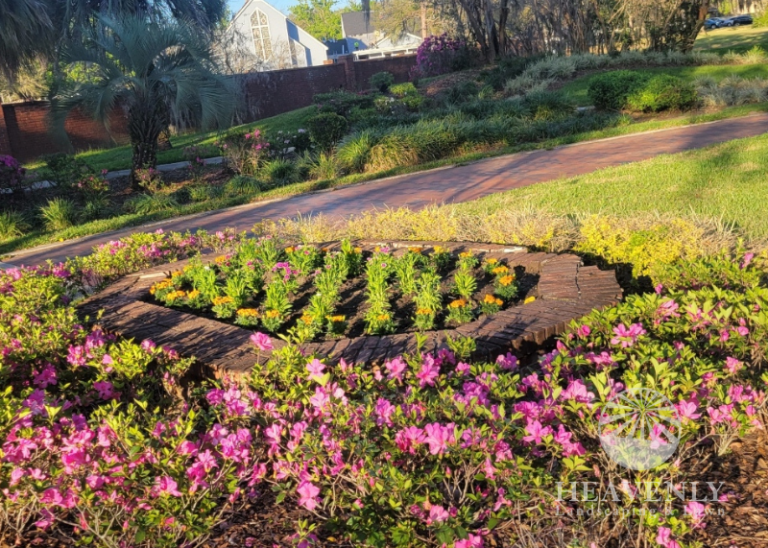 HOA landscape Orlando