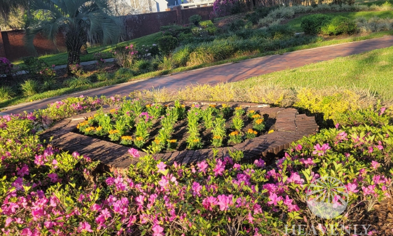 HOA landscaping services Central Florida