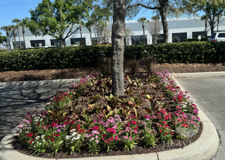 Landscape installation Orlando