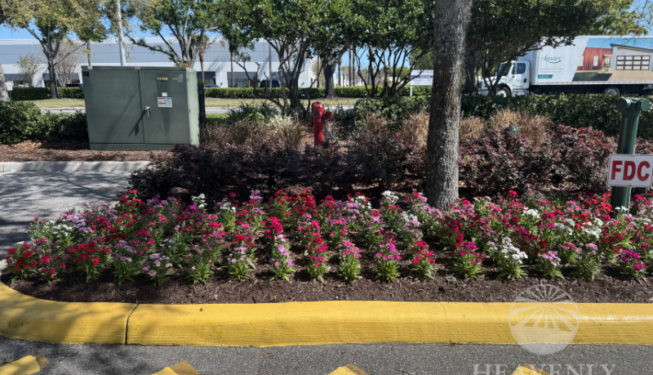 Commercial landscape Installation