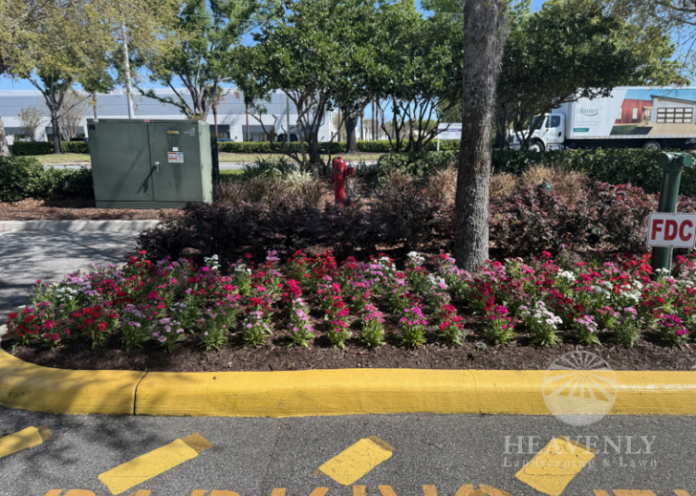 Commercial landscape Installation