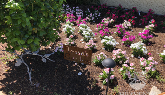 Flower garden landscape