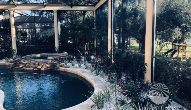 Pool landscape Orlando