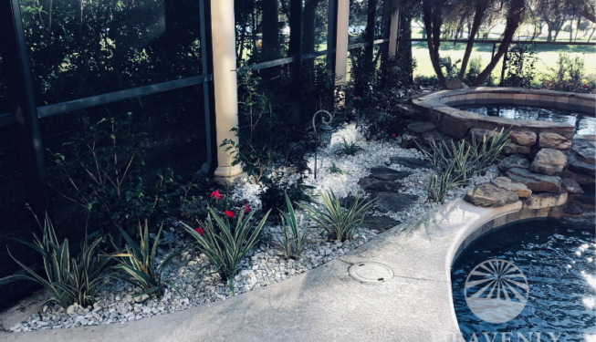 Pool landscape design and install