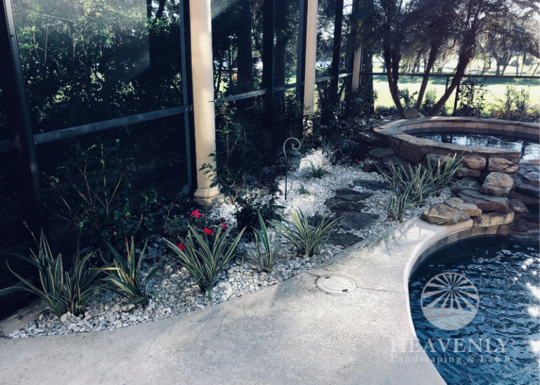 Pool landscape design and install