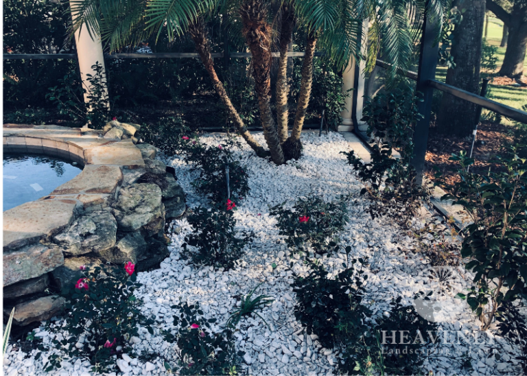 Landscape for pool area orlando