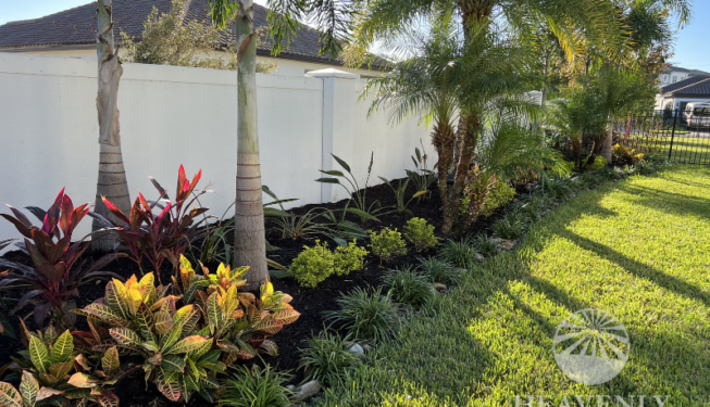 Landscape backyard makeover
