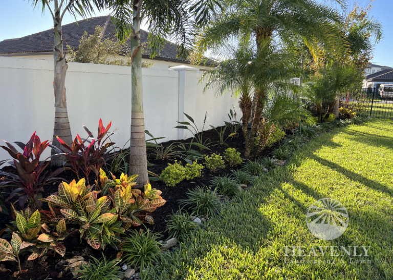 Landscape backyard makeover