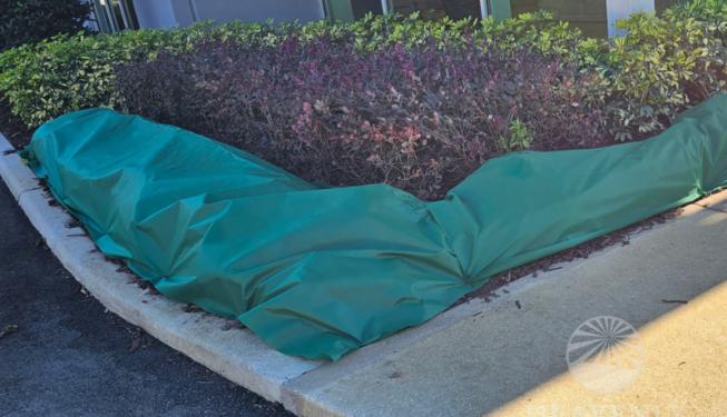 Cold Front Landscape Coverage