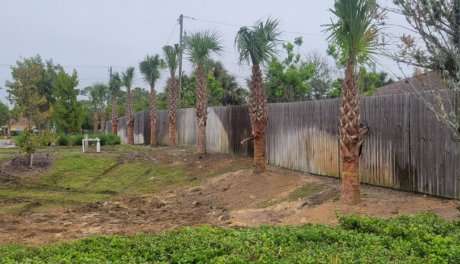 Commercial Landscape Code Compliance Florida