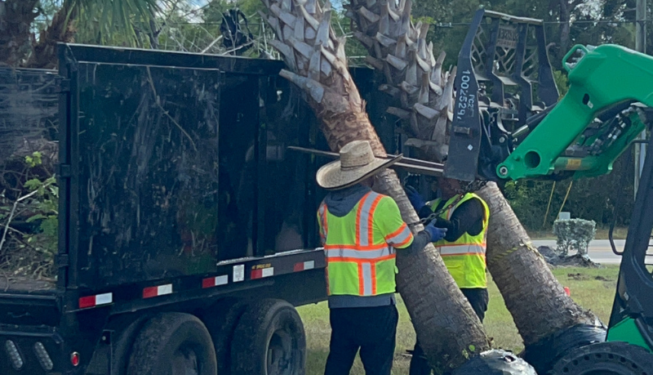 Commercial Landscape Contractor for Code Violations
