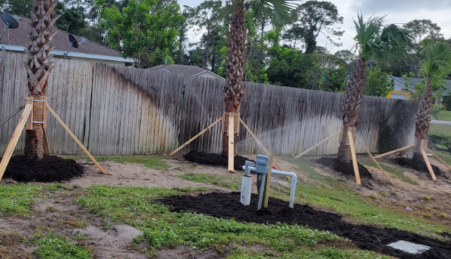 Commercial Landscape Renovation