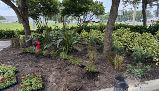 Commercial Landscaping Design