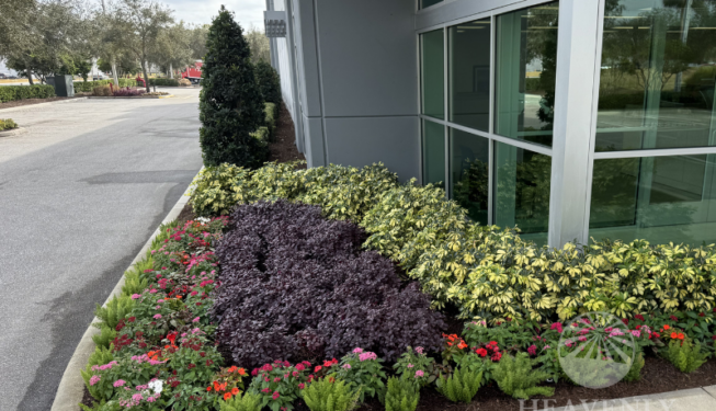 Commercial Landscaping Florida