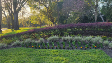 Commercial landscaping Orlando property maintenance