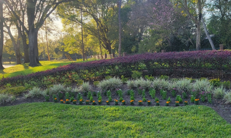 Commercial landscaping Orlando property maintenance