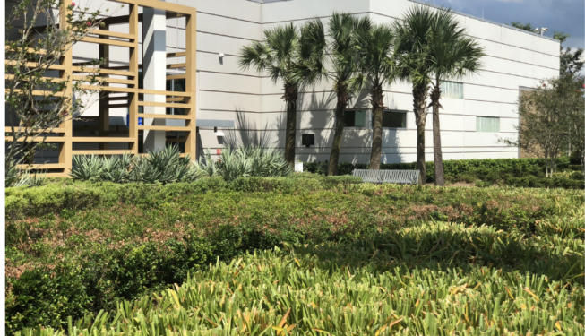 Commercial Landscaping Services Orlando, Fl