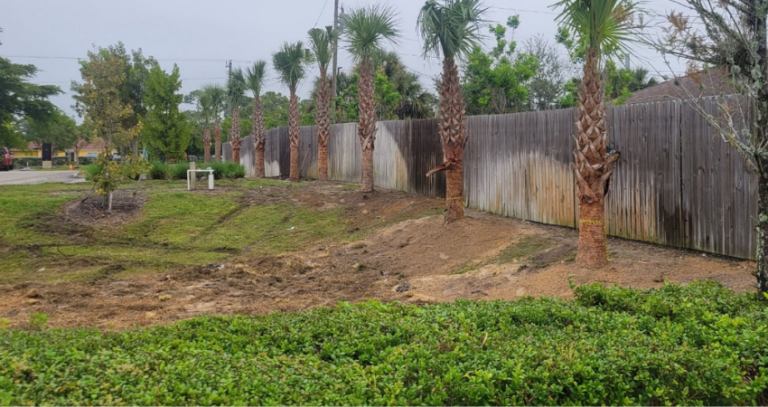 Commercial landscaping services near me