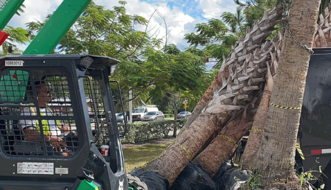 Corporate Landscaping Services Florida