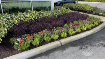 Front Entrance Landscaping Ideas