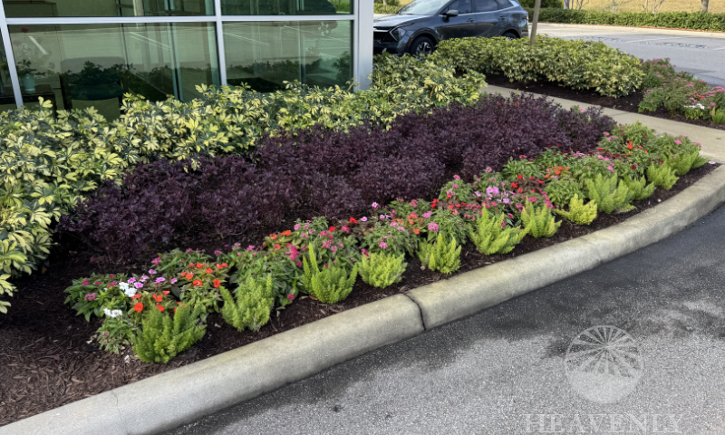 Front Entrance Landscaping Ideas