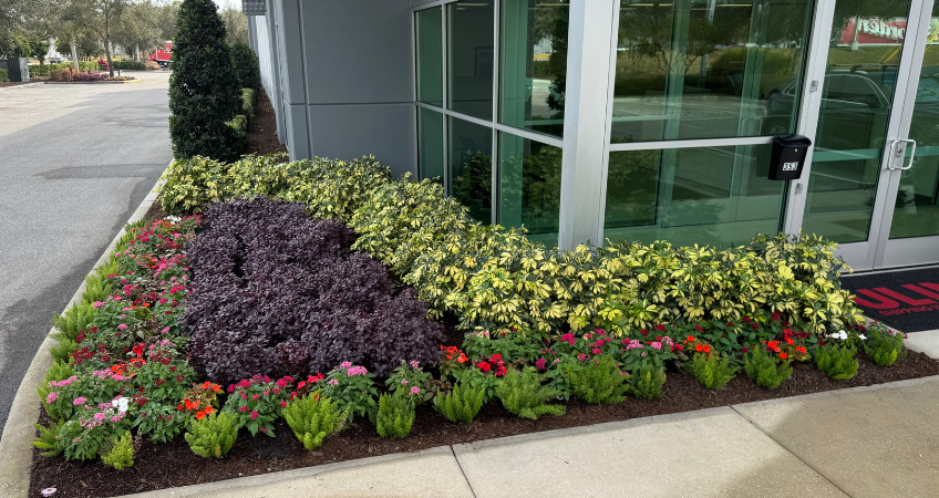 Landscaping design for front of office