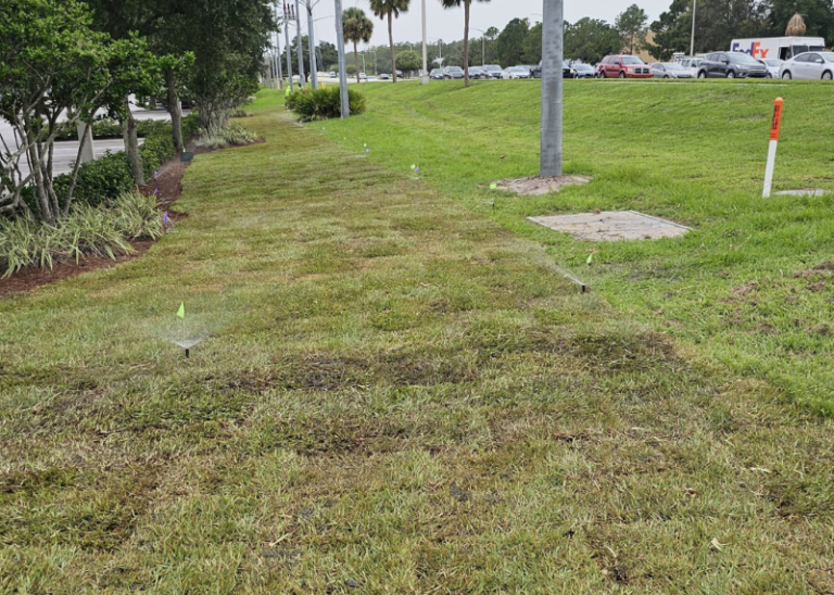 Grass Replacement Near me