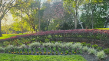 Commercial landscaping for HOAs