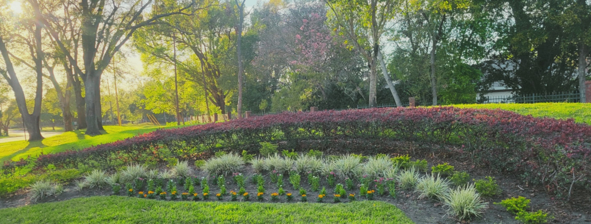Commercial landscaping for HOAs