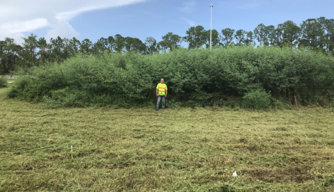 Land Clearing Services