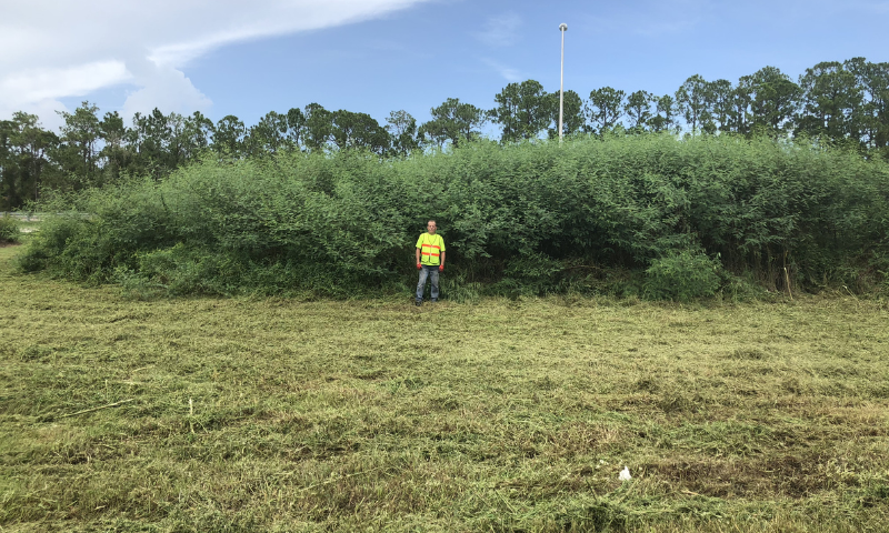 Land Clearing Services