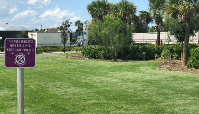 Lawn Care Services