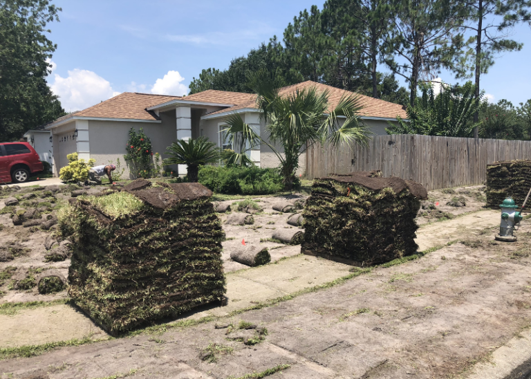 Lawn Replacement Services