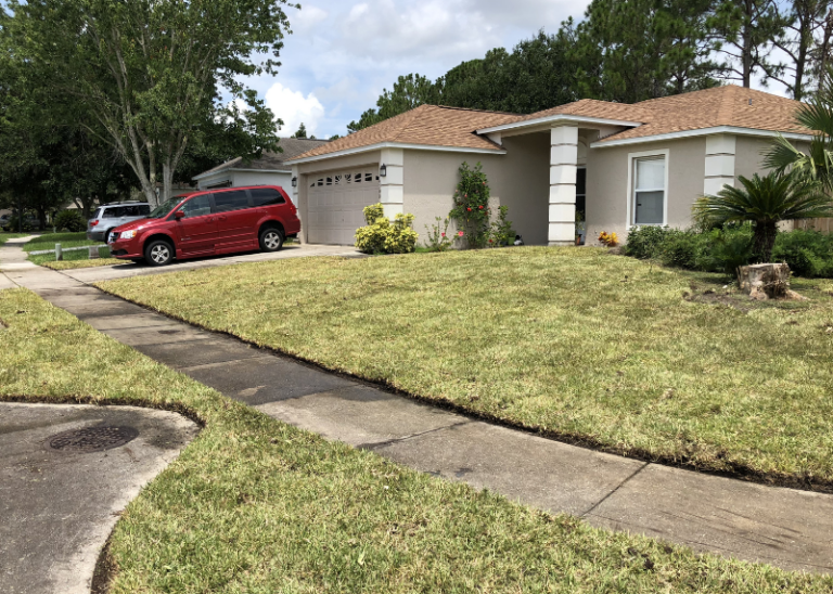 Lawn Replacement Services Near Me
