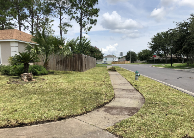 Lawn repair and sod installation