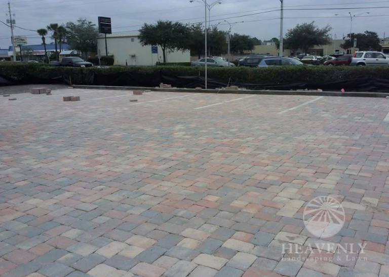 Business parking lot