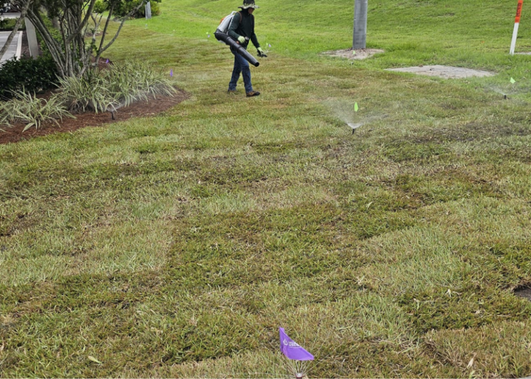Professional Sod Installation Services