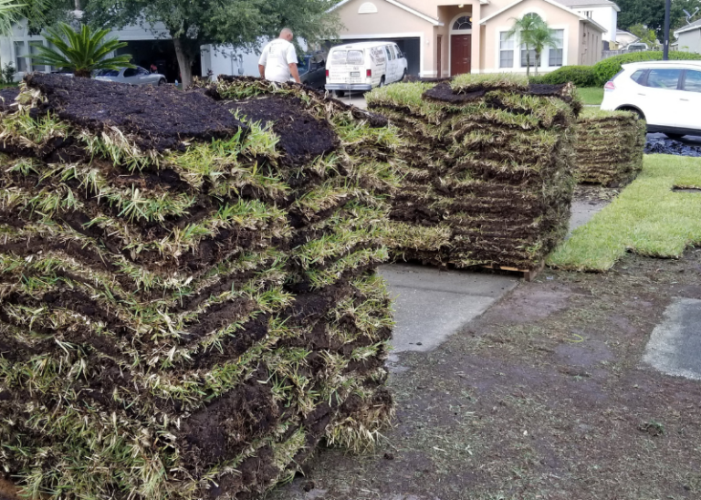 Sod Installers Near Me