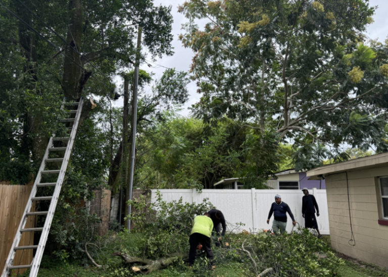 Tree cutting service