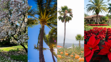 HOA Landscape Maintenance 4 Seasons