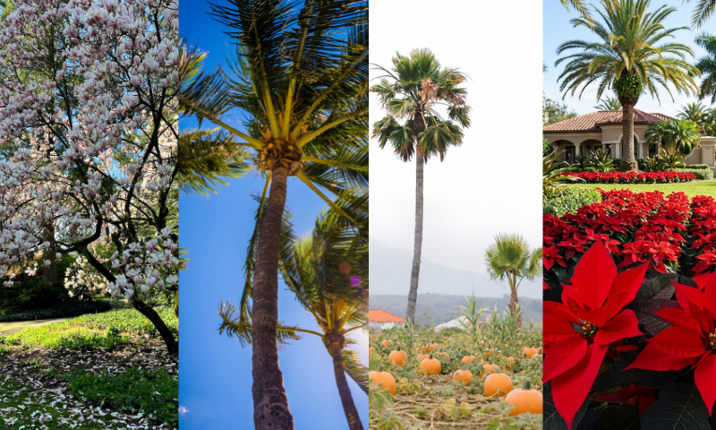 HOA Landscape Maintenance 4 Seasons